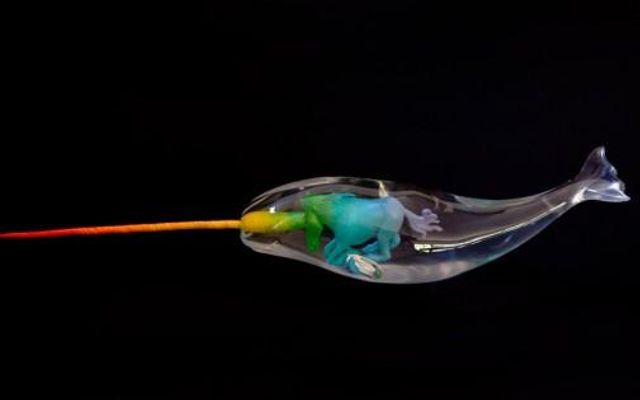 Which creatures do you like more: Narwhals or Unicorns? Which creatures do you like more: Narwhals or Unicorns?