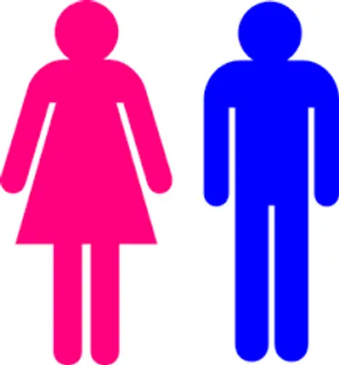 Girls which gender do you prefer? Girls which gender do you prefer?