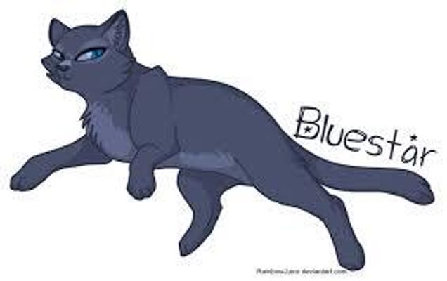 did bluestar deserve to be ALMOST killed by tigerclaw did bluestar deserve to be ALMOST killed by tigerclaw