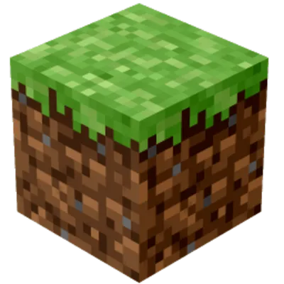 Do you play minecraft? (2)