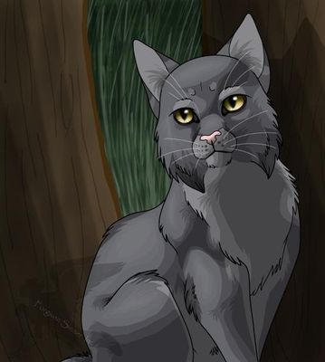 What is your favorite warrior cat? What is your favorite warrior cat?