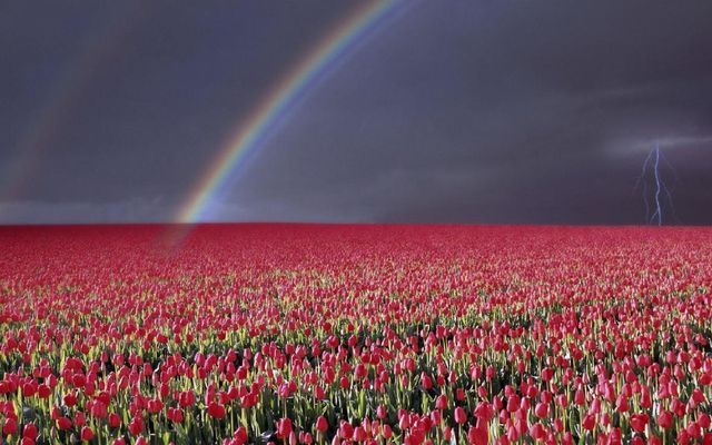 What's your favourite weather? What's your favourite weather?