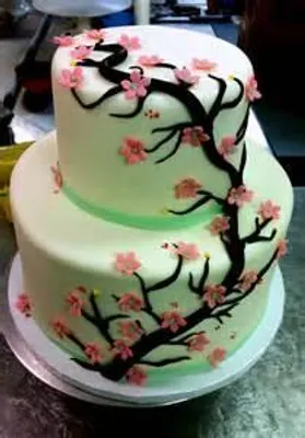 What Cake do you Like Better? What Cake do you Like Better?