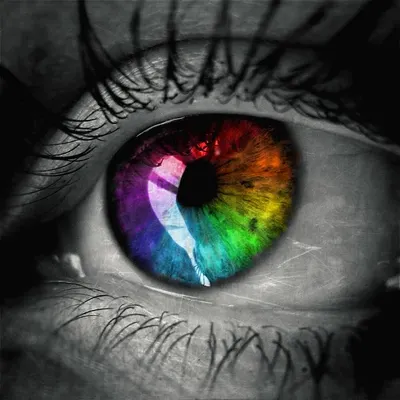 What Color Are Your Eyes? What Color Are Your Eyes?