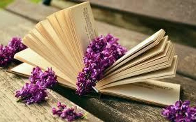 Which is the best book? Which is the best book?
