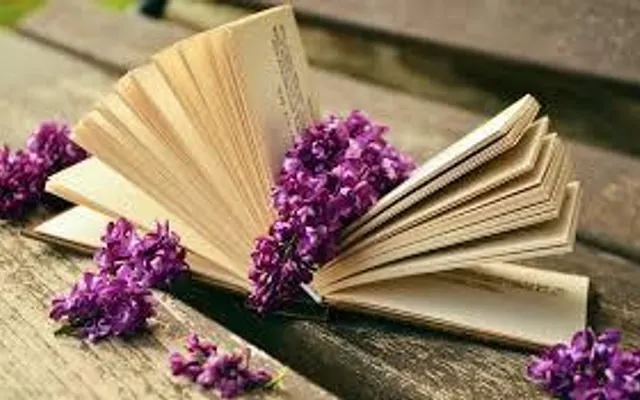 Which is the best book? Which is the best book?