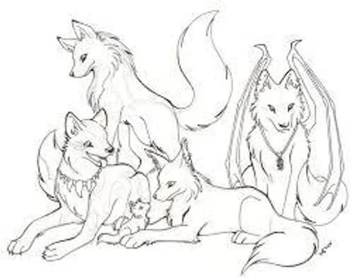 What type of wolf are you? What type of wolf are you?