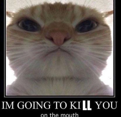 if this was dongusrongus which of us would murder somebody first if this was dongusrongus which of us would murder somebody first