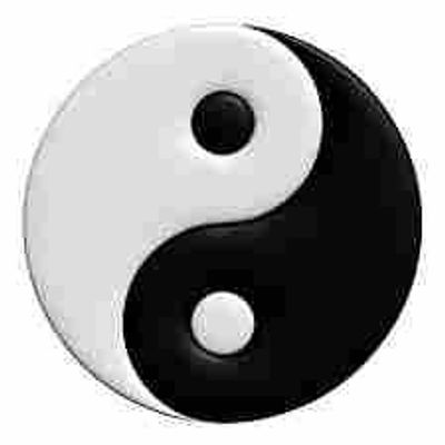 ying or yang? ying or yang?
