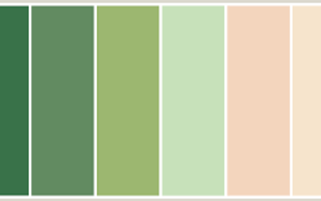 Do you like Peach or Green Do you like Peach or Green