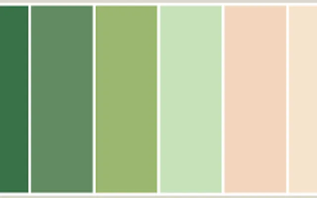 Do you like Peach or Green Do you like Peach or Green