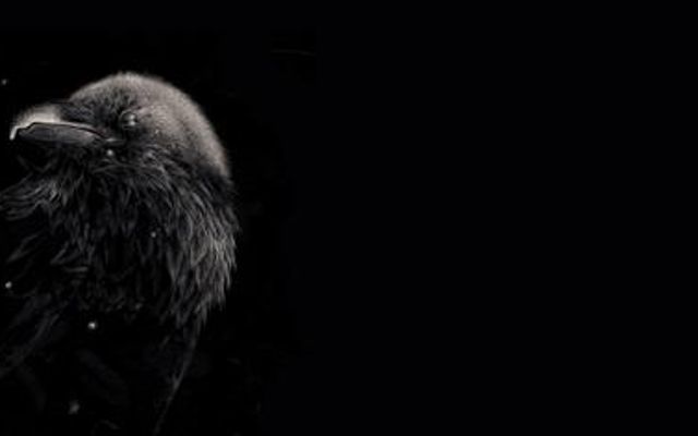 What is your favorite animal out of these 17? What is your favorite animal out of these 17?
