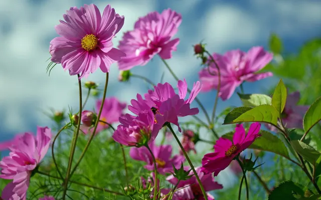What is your favorite kind of weather? What is your favorite kind of weather?