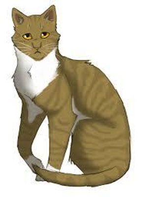 Is Leafpool better or worse than Yellowfang Is Leafpool better or worse than Yellowfang