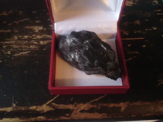 What will my Pet Rock's New Name be? What will my Pet Rock's New Name be?