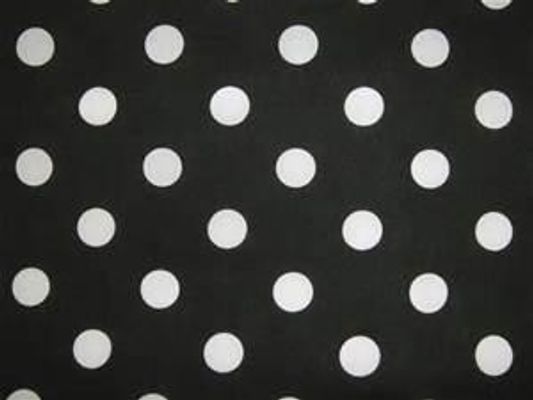 Black or White? (1)(the color) Black or White? (1)(the color)
