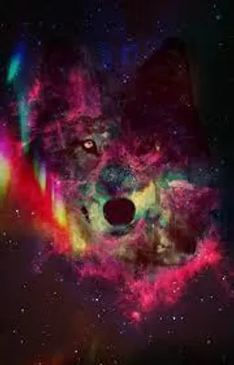 Which wolf looks better? (7)