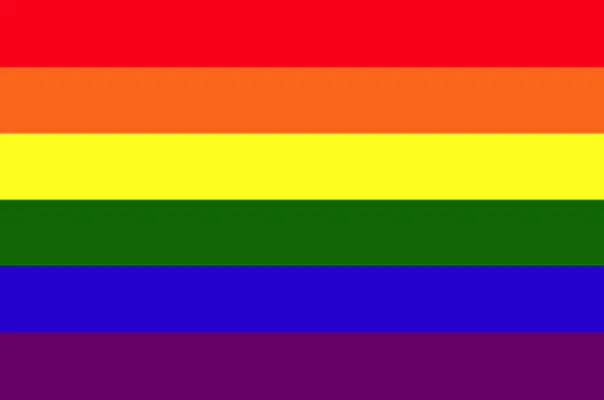 Do you support Gay rights? (If not please no mean comments)