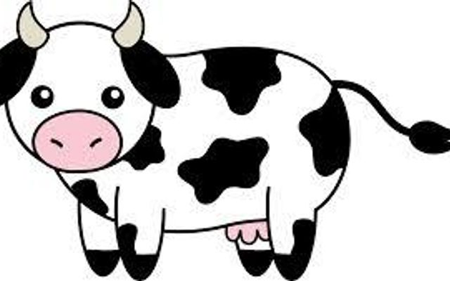 Do you like cows? Do you like cows?