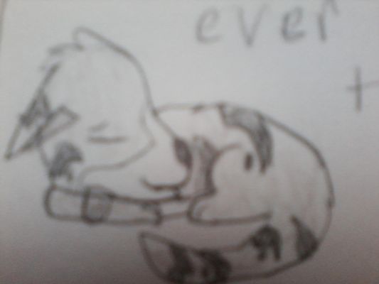 Which drawing is better? Which drawing is better?