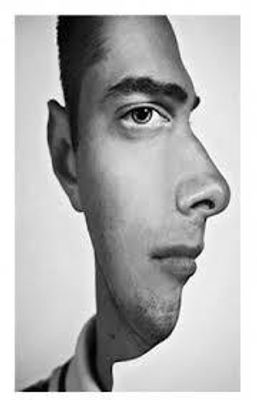 Which is the best Optical Illusion? Which is the best Optical Illusion?