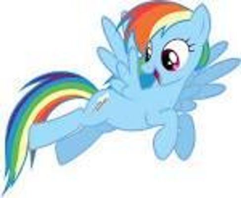 What Rainbow Dash? What Rainbow Dash?