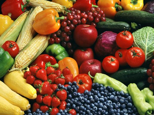 Which Fruit Do You Like? Which Fruit Do You Like?