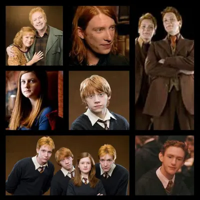 Which Weasley is your favorite? Which Weasley is your favorite?