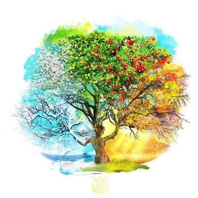 What is your favourite season? What is your favourite season?