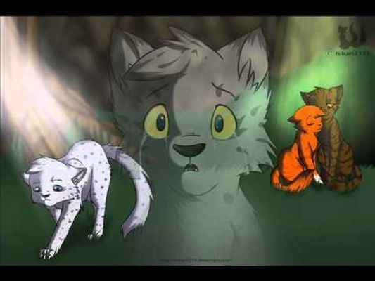 If you where squirrelflight who would you choose? If you where squirrelflight who would you choose?