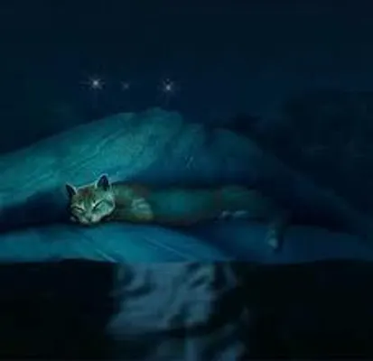 Is Leafpool the WORST medicine cat?