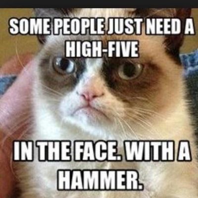 Do you like grumpy cat? Do you like grumpy cat?