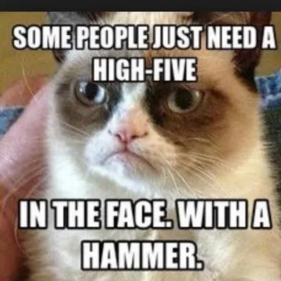 Do you like grumpy cat? Do you like grumpy cat?