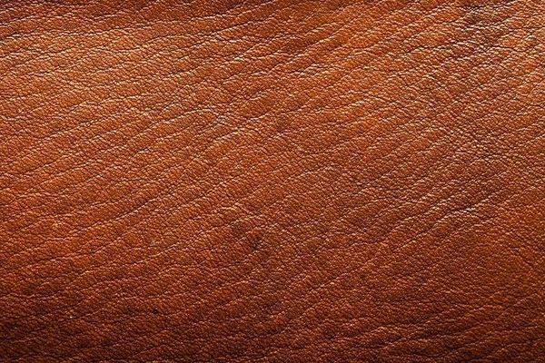 Which Little Trees Leather car freshener is better?