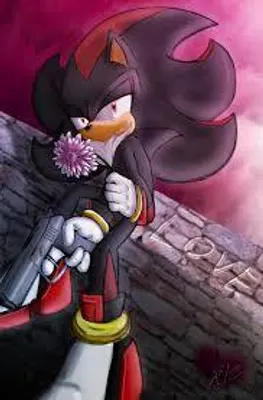 Which girl is better for Shadow The Hedgehog? Which girl is better for Shadow The Hedgehog?