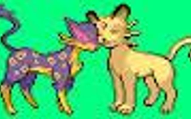 What do you think of Persian and Liepard as a couple or would you rather have them seperate? What do you think of Persian and Liepard as a couple or would you rather have them seperate?