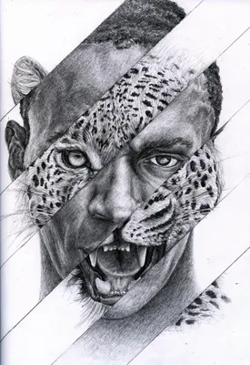 Is it easier to draw animals or people Is it easier to draw animals or people