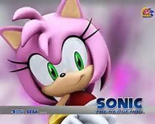 Which is the best couple for Amy Rose the hedgehog? Which is the best couple for Amy Rose the hedgehog?
