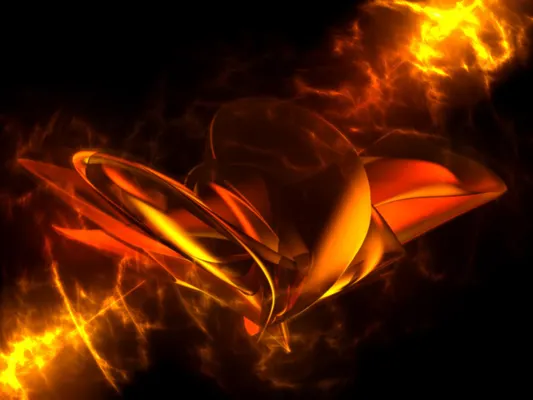 which colour: black or orange? which colour: black or orange?