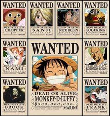 Which Straw Hat Pirate is you favorite? Which Straw Hat Pirate is you favorite?