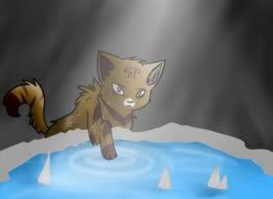 What Tribe position are you in? (Warrior Cats) What Tribe position are you in? (Warrior Cats)