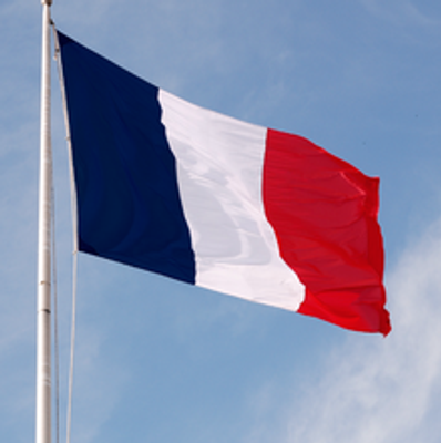 French Vocab (1)