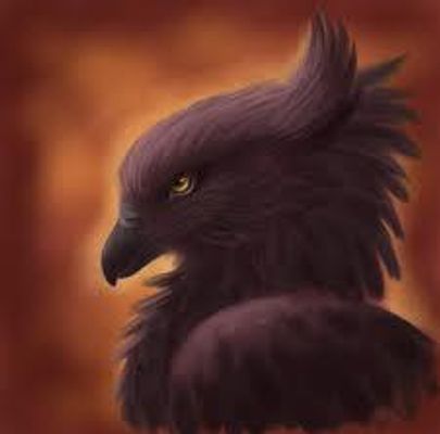 Gryffin Quiz: Part I Gryffin Quiz: Part I
