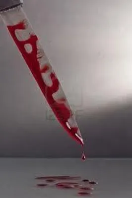 Can you survive the Killer?