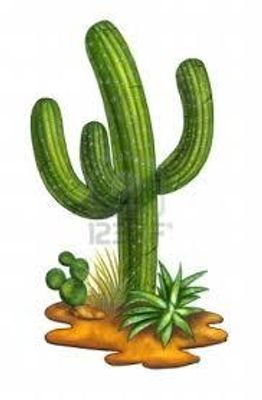 What flavour cactus are you? What flavour cactus are you?