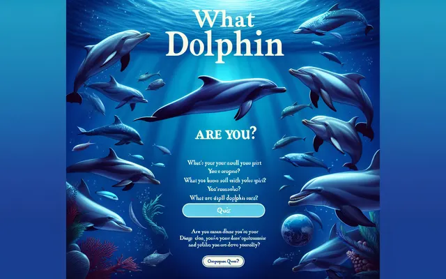 What Dolphin Are You?