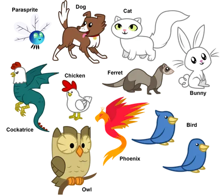 wich animal are you