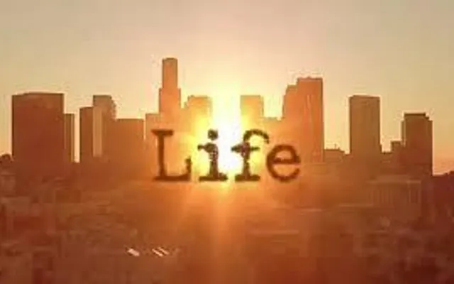 Your Life Quiz - Try The Expert / Accurate Mode Your Life Quiz - Try The Expert / Accurate Mode