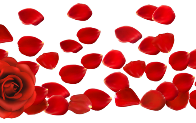 Rose Petals (Sonic, Shadow, Silver wwffy) Rose Petals (Sonic, Shadow, Silver wwffy)