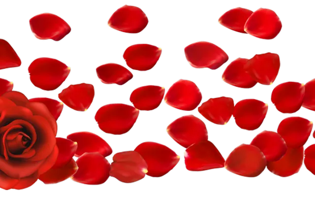 Rose Petals (Sonic, Shadow, Silver wwffy) Rose Petals (Sonic, Shadow, Silver wwffy)